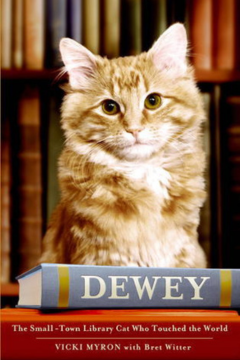 Dewey: The Small Town Cat Who Touched the World