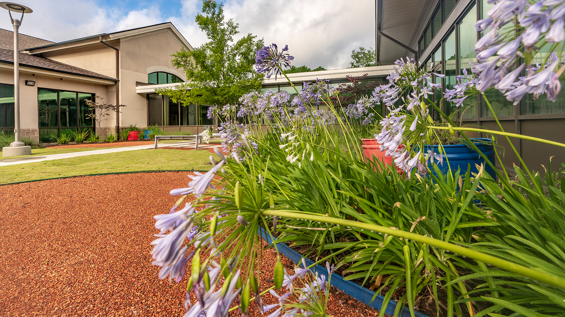 DSW Courtyard