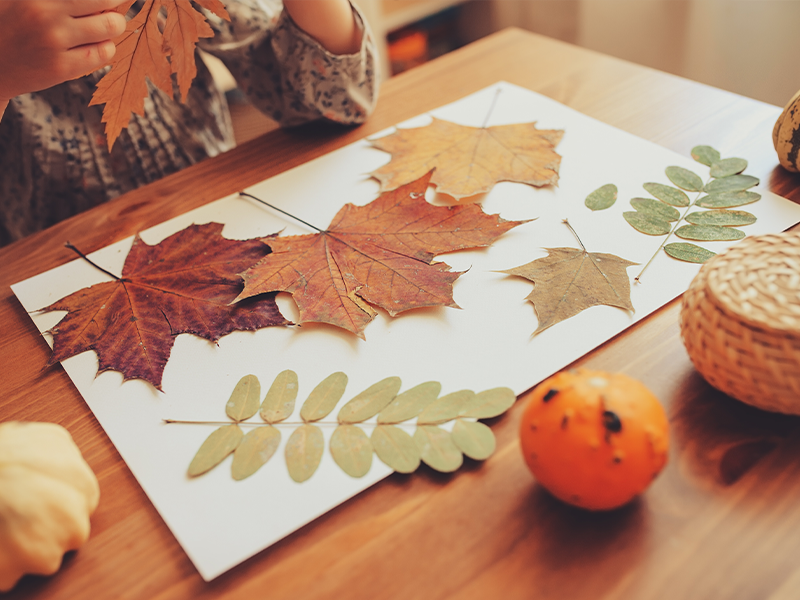 Autumn Crafts for Everyone (Virtual)