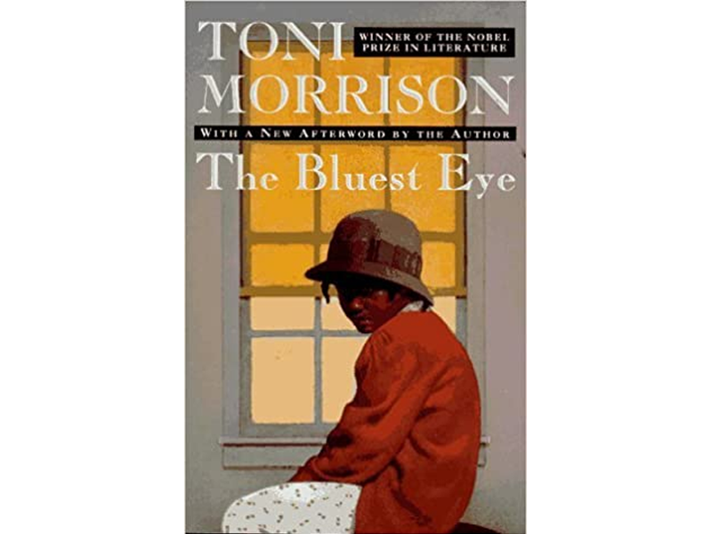 The bluest eye Catalog Items