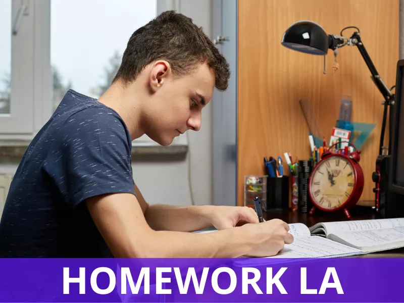 Homework LA