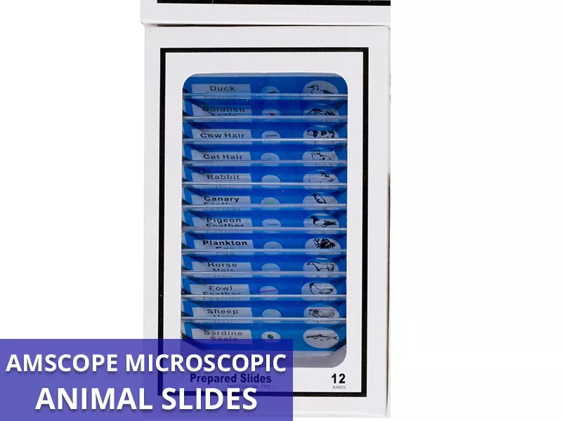 AmScope Animal Slides Callout