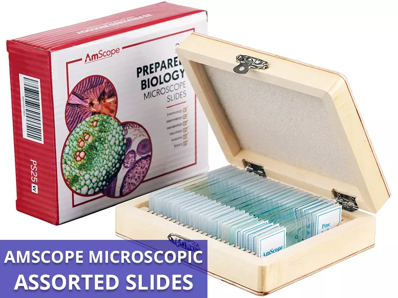 AmScope Assorted Slides Callout