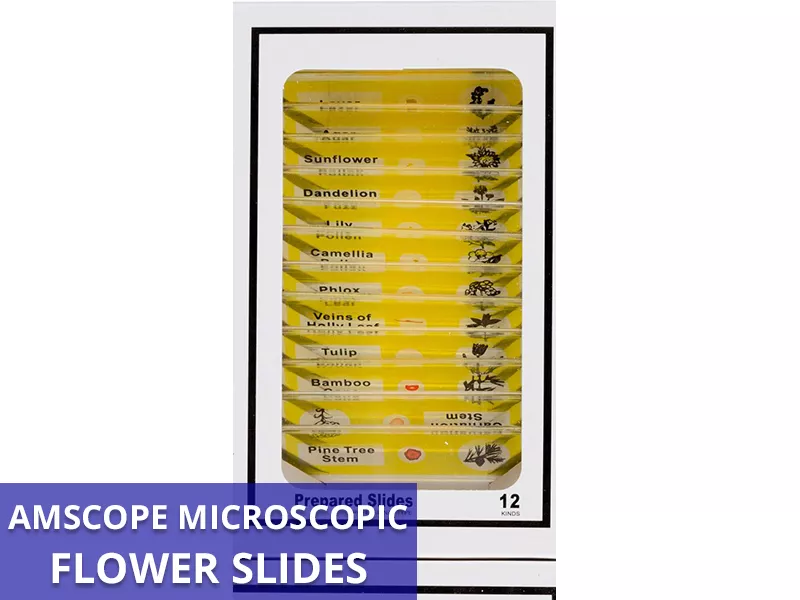 AmScope Flower Slides Callout