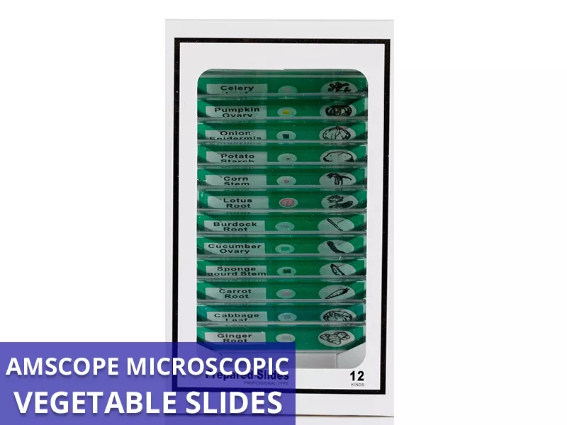 AmScope Vegetable Slides Callout