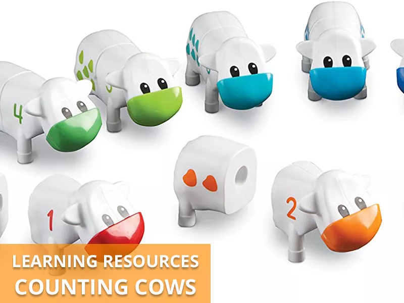 Counting Cows Callout