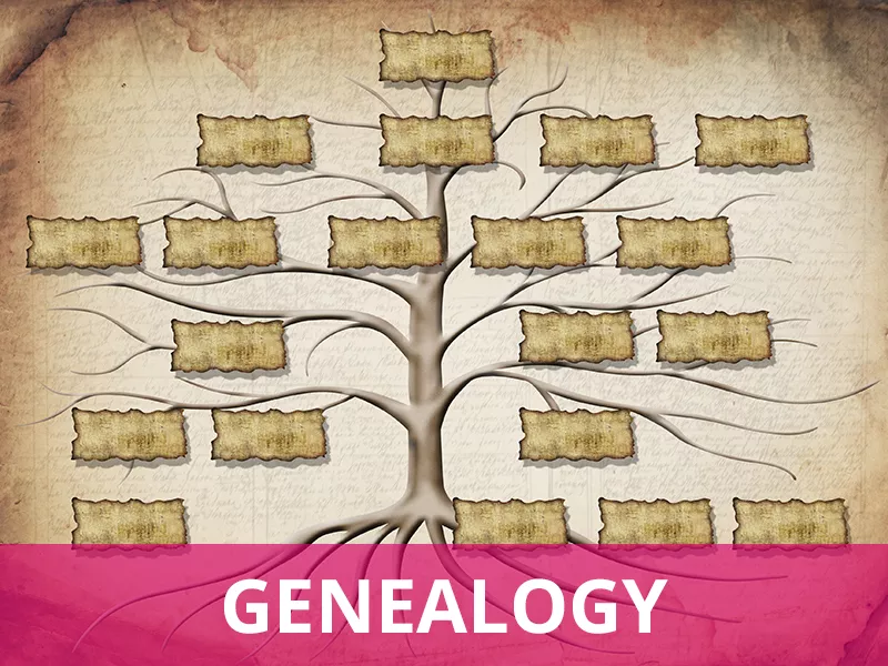 Adult Callout - Geneaogy