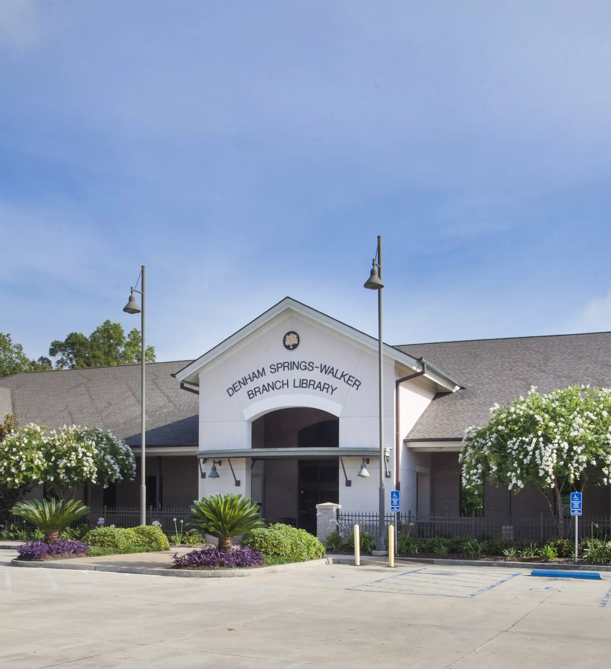 DSW Branch
