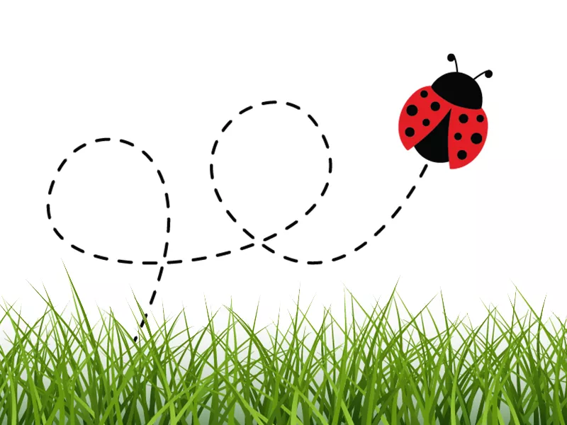 Photo of Grass and Ladybug